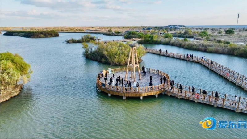 武磊的伤情 武磊的伤情