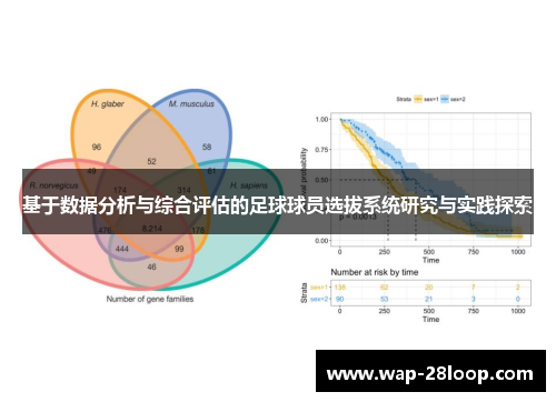 基于数据分析与综合评估的足球球员选拔系统研究与实践探索