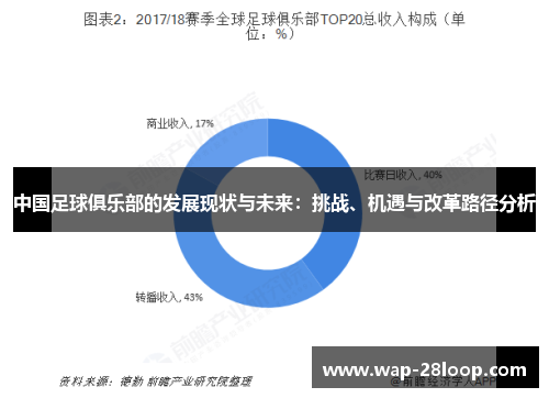 中国足球俱乐部的发展现状与未来：挑战、机遇与改革路径分析