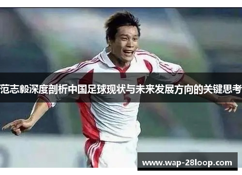 范志毅深度剖析中国足球现状与未来发展方向的关键思考