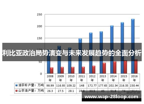 利比亚政治局势演变与未来发展趋势的全面分析